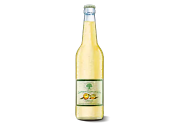 Bad Brambacher Garten-Limonade Orange